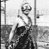 Lady Gaga's 